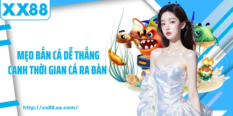 Mẹo bắn cá dễ thắng canh thời gian cá ra đàn 