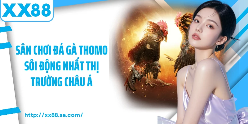 Đá Gà Thomo - Sân Chơi Của Những Hội Viên Chuyên Nghiệp 2 Sân chơi đá gà thomo sôi động nhất thị trường châu Á